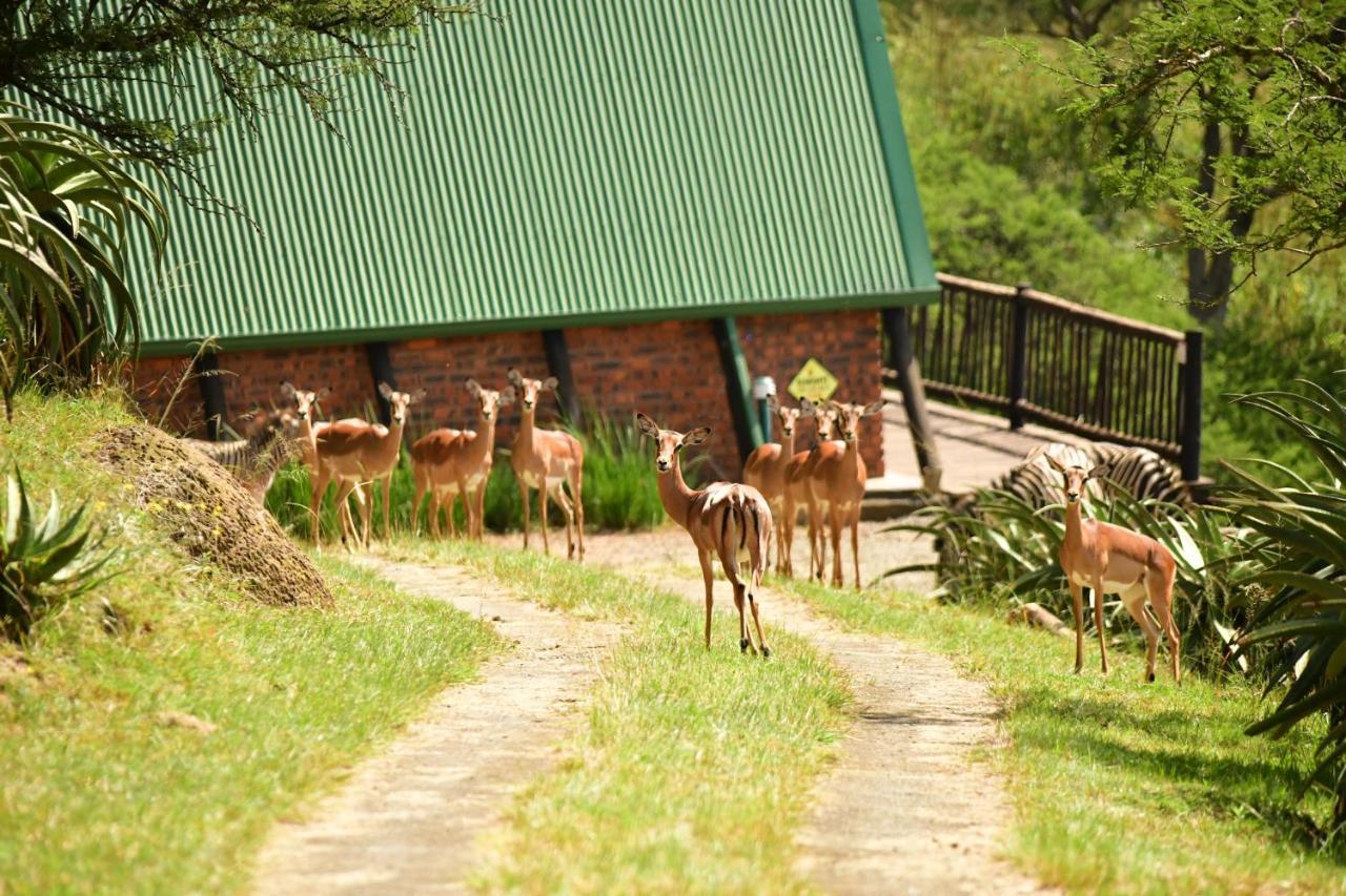 Bonnie View Game Lodge Hilton Exterior foto